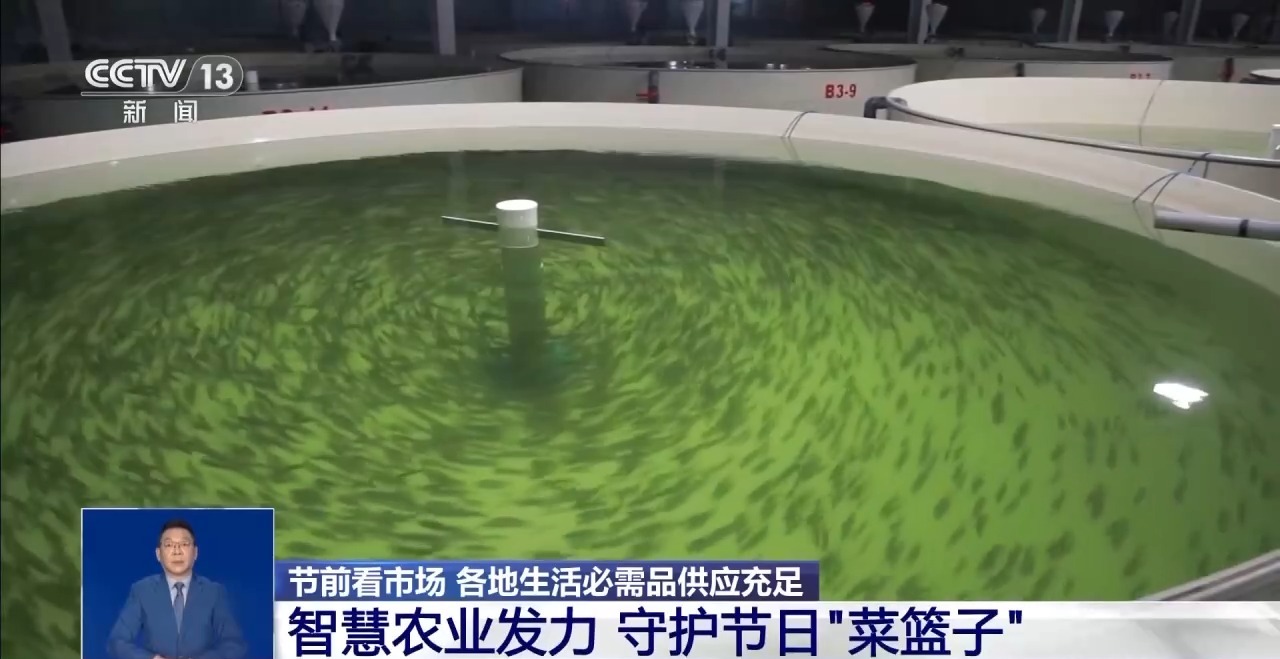 市场迎来消费高峰“米袋子”“菜篮子”满满当当(图7)