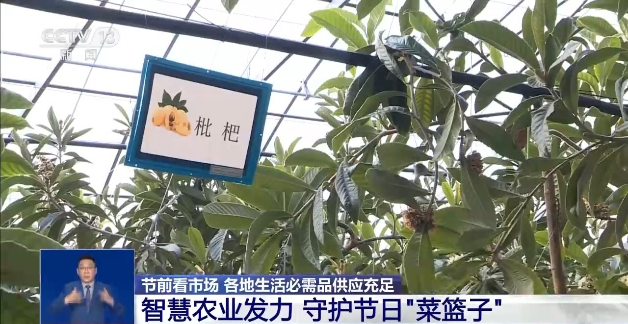 市场迎来消费高峰“米袋子”“菜篮子”满满当当(图8)