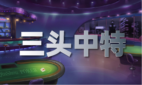2024年澳网公开赛免费直播V