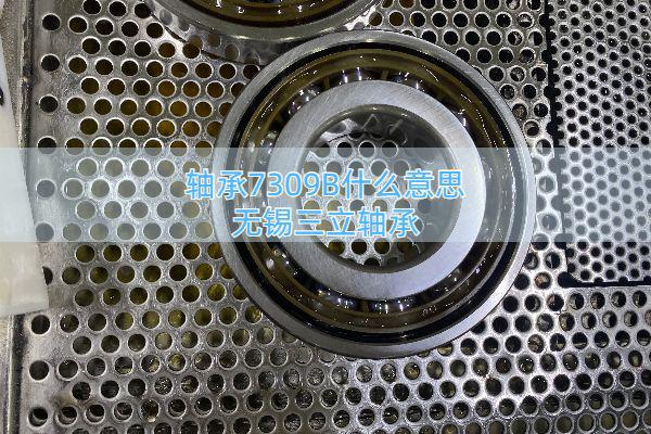 轴承7309B什么意思？性能特点怎么样？