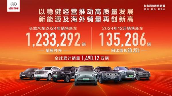 七大国产品牌2024年度销量榜：比亚迪第一奇瑞第二吉利第三？(图12)