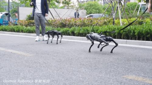 王兴兴：斗狗(图20)