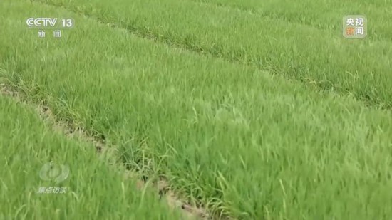 良田+良种+良机法来看山东保丰收秘籍(图2)