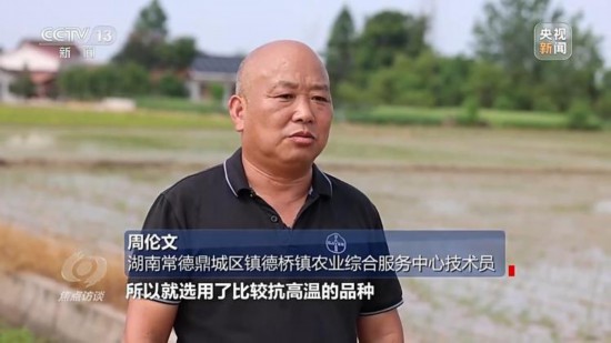 良田+良种+良机法来看山东保丰收秘籍(图3)
