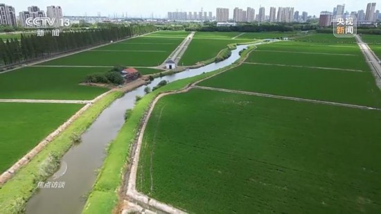 良田+良种+良机法来看山东保丰收秘籍(图8)